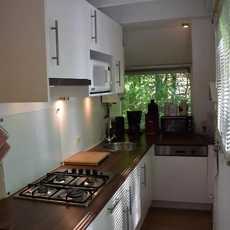 木屋 The Forest Chalet 杜柏
