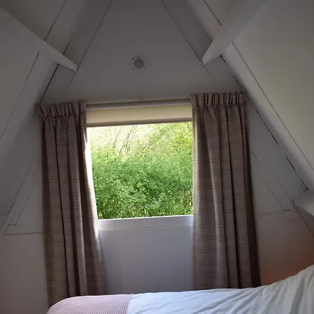 The Forest Chalet
